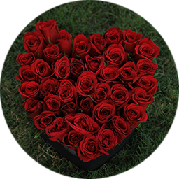 red-roses-bouquet